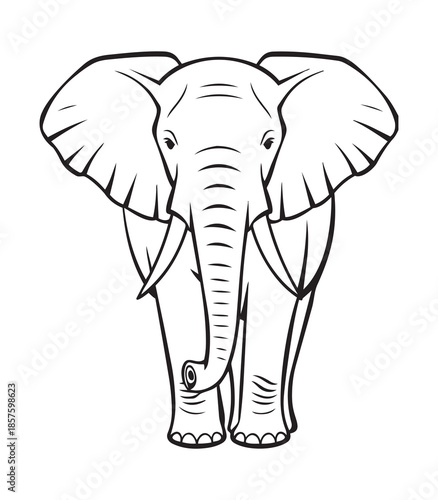 Elephant Front View Line Art Vector Drawing