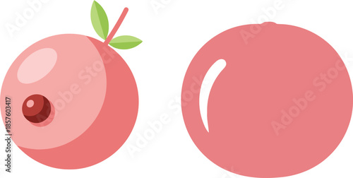 vector illustration of an apple