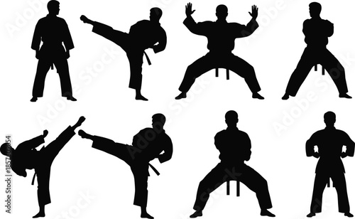 Karate fighter silhouette collection featuring martial arts poses, high kicks, training stances, self-defense movements, vector illustration for sports design