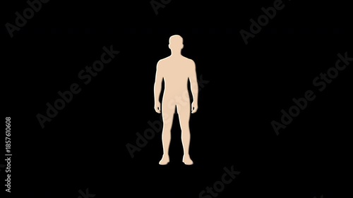 Digital humanoid figure forming from glitching pixels