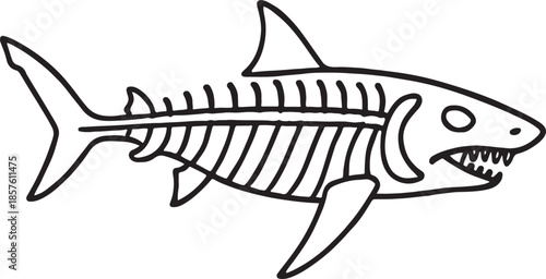 A simple black and white illustration of a shark skeleton side view