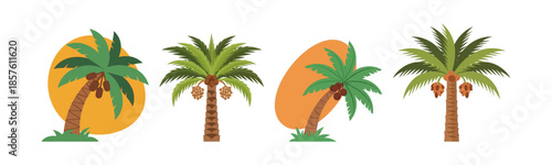 Ramadan Icons Tropical Palm Trees with Coconuts for Festive Decor