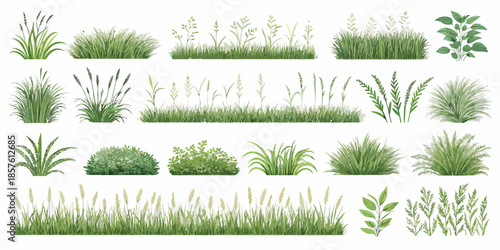 Variety of lush green grasses and plants for landscaping