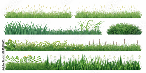 Variety of lush green grass and wildflowers for landscaping