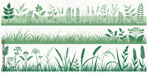 Variety of green grass and plants in natural landscape setting