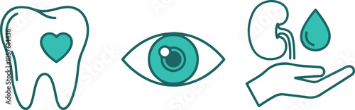 Three distinct medical in teal and white line showing a tooth with a heart, an eye, and a kidney with a hand and water drop representing dental