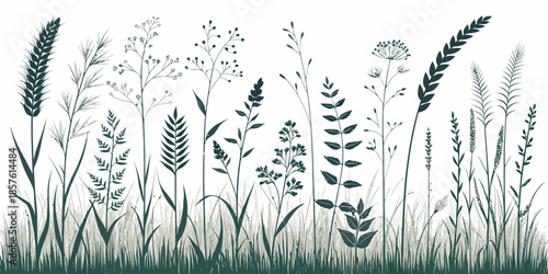 Elegant dark green and white wildflowers and grasses illustration