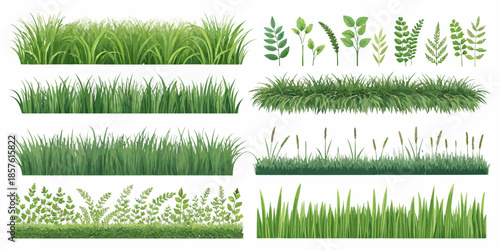 Various green grass and leafy plant illustrations for design
