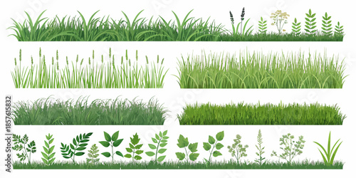 Variety of lush green grass and plants for landscaping designs