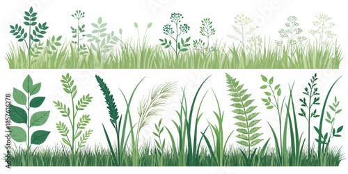 Variety of green grass and plants on white background