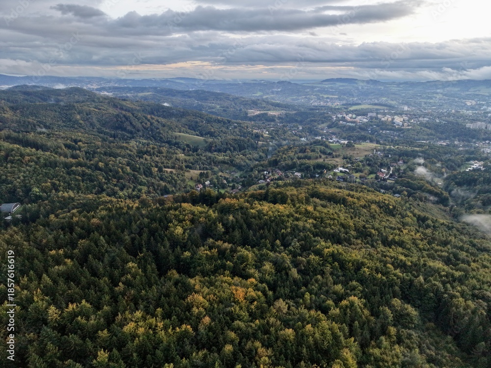 Fototapeta premium Dense Forest Area Featuring Winding Pathways, Expansive Woodland With Meandering Roads Under Cloudy Skies
