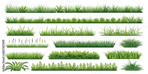 Various green grass and plant types for landscaping and design