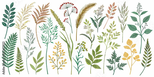 Variety of colorful plant leaves and stems on white background