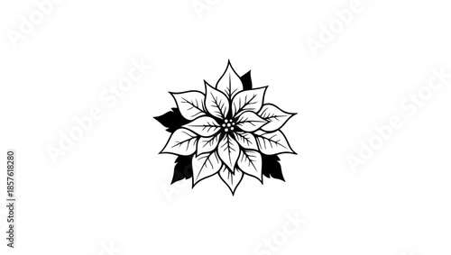 A black and white drawing christmas flower poinsettia on white background vecTOR, Singular Petal Symbolism Iconic Art Monochrome Floral Chic, Christmas Flower, star, decoration, vector, flower, illust