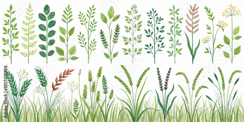 Variety of wild grasses and plants in a natural setting