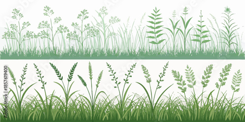 Detailed illustration of various green grasses and plants