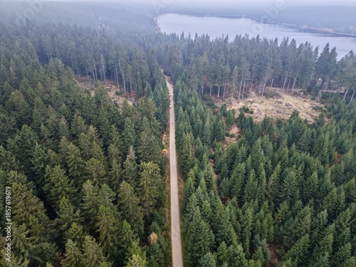 Εκτύπωση καμβά quiet ride through wooded area, independent cyclist navigating dense pines with