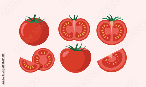Set of fresh red tomatoes vector illustration