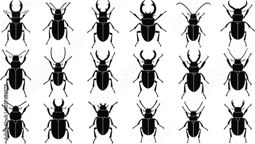 Set of 20 Unique Beetle Silhouettes for Entomology, Taxonomy, Insect Identification, Science Education, Nature Study, and Biology Projects