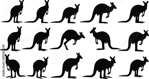 Kangaroo silhouette vector set showing animal motion, hopping poses, standing and crouching positions for wildlife, biology, animation, and design use.