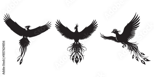 Silhouette of a phoenix with wings spread wide and tail feathers displayed against white background, Soaring phoenix silhouette black bird icon vector, pro