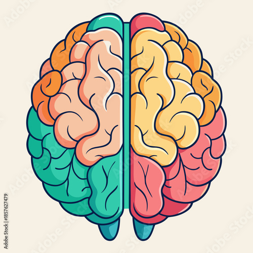 human brain vector illustration