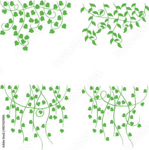  Decorative Green Vine Leaves Hanging Botanical Border Vector.