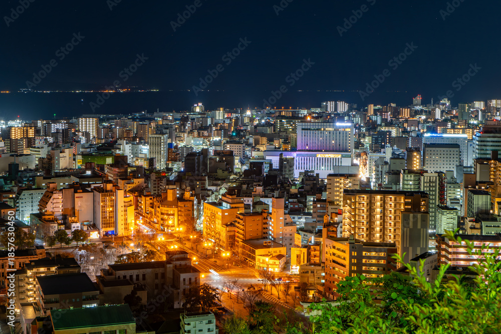 Fototapeta premium 城山公園から見た鹿児島市内の夜景