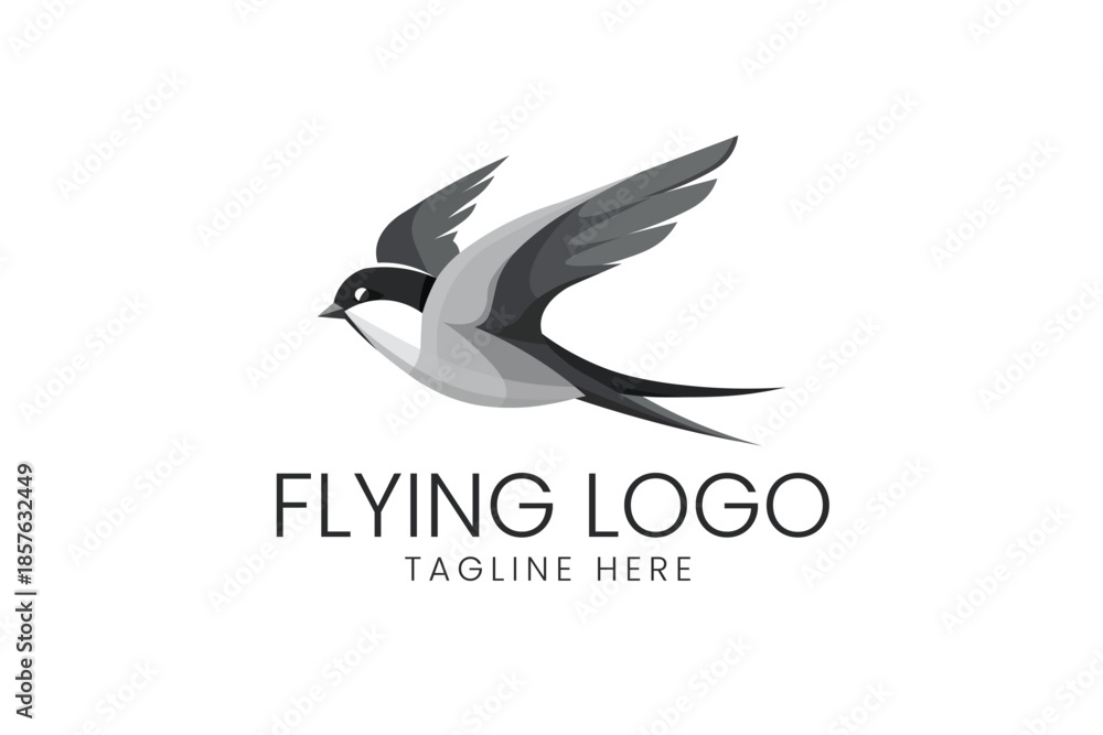 Fototapeta premium Flying Bird Swallows Wings Flight Vector logo template