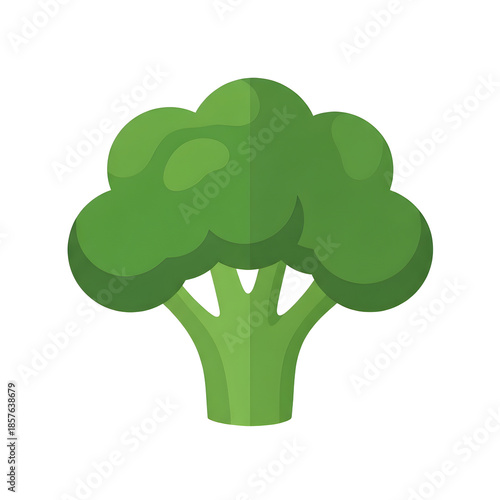 Fresh Broccoli Florets isolated on transparent background