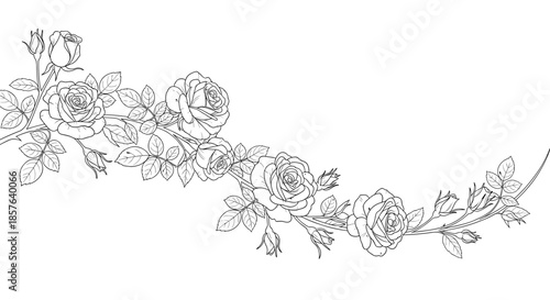 Horizontal Hand-Drawn Rose Garland Design with Leaves and Buds, Elegant Black and White Vector