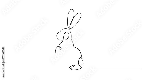 Continuous drawing line art of Easter rabbits. Self drawing line animation Easter Bunny Cute rabbit silhouette with ears continuous one single line drawing