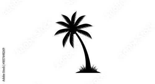Stylized Palm Tree Silhouette Vector Graphic for Tropical Designs and Summer Holiday Branding