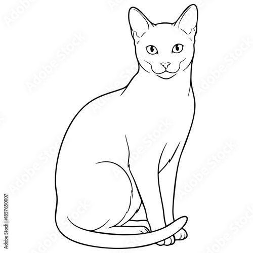 Russian Blue Cat Sitting Vector Outline Adult Coloring Book Page