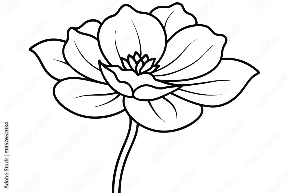 Obraz premium buttercup silhouette line art vector illustration