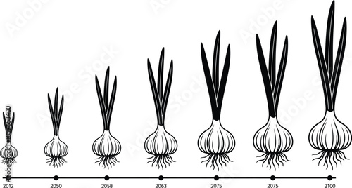 A set of fresh organic spring tulip flower vector illustrations featuring green leaves and bulbs isolated on a white background like a healthy raw vegetable sprout or onion plant