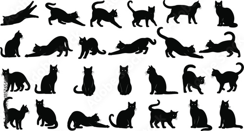 Black Cat Silhouette Collection Showing Various Poses and Movements Cute Domestic Animal Vector Set