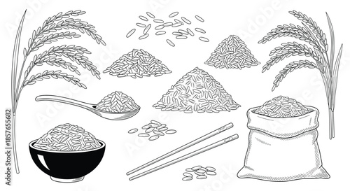 Comprehensive collection of hand-drawn rice illustrations in a vintage engraved style, featuring grains, plants, a bowl, and sack.