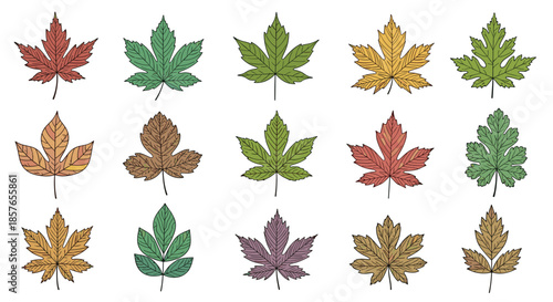 Beautiful collection of fifteen different autumn leaves, hand-drawn in a variety of colors and textures for seasonal designs.