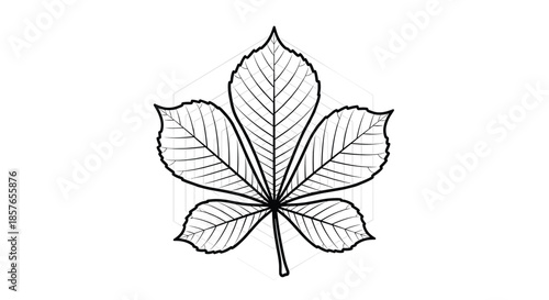 Elegant black and white line art of a horse-chestnut leaf, beautifully contrasted against a subtle geometric hexagonal pattern.