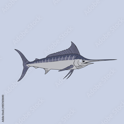 Detailed illustration of a blue marlin fish with its distinctive long bill and dorsal fin, depicted swimming in profile.