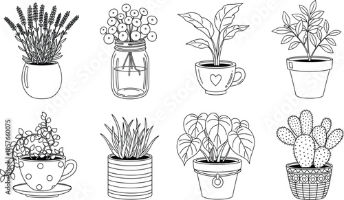 Hand Drawn Potted Houseplants Collection with Succulents, Cactus, Herbs and Indoor Plants Line Art Vector