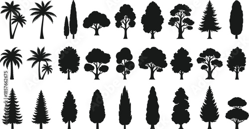 Tree Silhouette Collection Featuring Palm, Deciduous and Conifer Trees for Landscape and Nature Design Vector Set