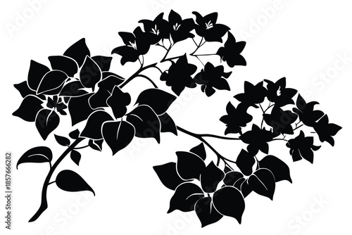 bougainvillea silhouette line art vector illustration