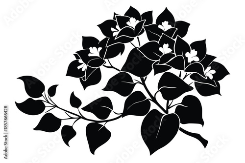 bougainvillea silhouette line art vector illustration