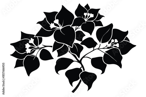 bougainvillea silhouette line art vector illustration