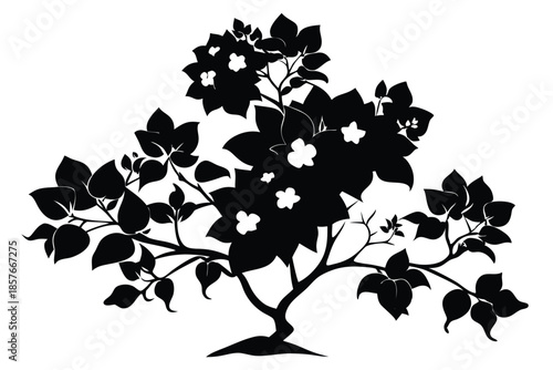 bougainvillea silhouette line art vector illustration