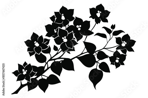 Fotografi bougainvillea silhouette line art vector illustration
