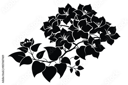 bougainvillea silhouette line art vector illustration