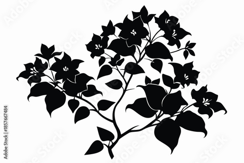 bougainvillea silhouette line art vector illustration